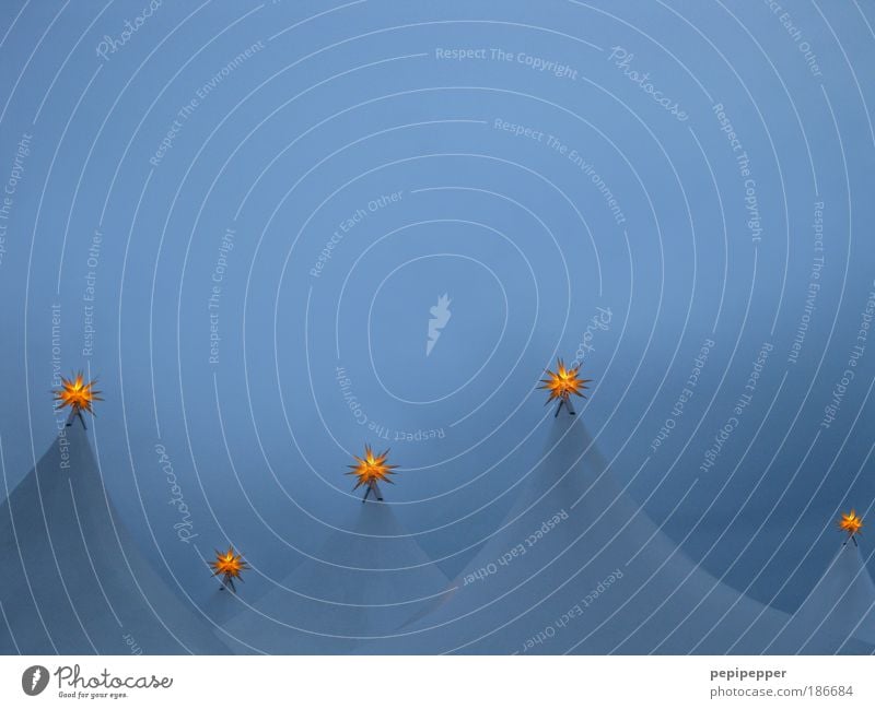 Sternenzelt Zirkus Dach blau gold ruhig Schutz Farbfoto Gedeckte Farben Dämmerung Himmelszelt Firmament Zeltplane Zelthimmel Zirkuszelt Stern (Symbol)