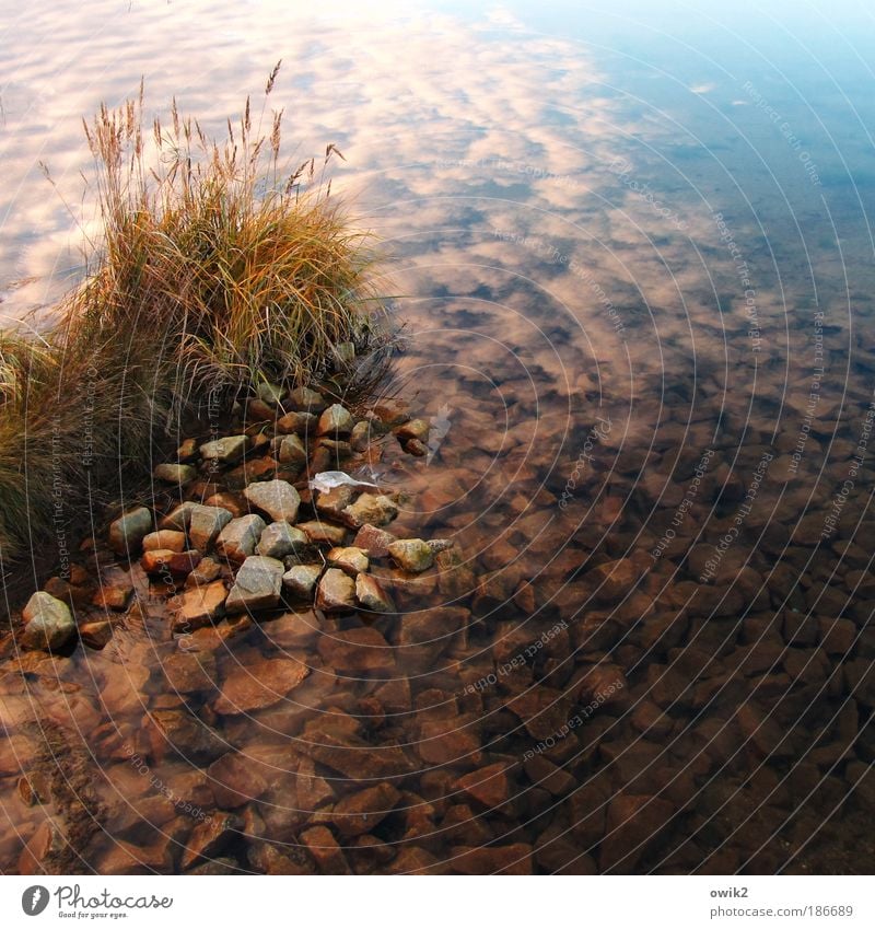 Bärwalder See Ferne Umwelt Natur Landschaft Pflanze Urelemente Wasser Himmel Wolken Herbst Klima Wetter Schönes Wetter Gras Wildpflanze Stein Küste Seeufer