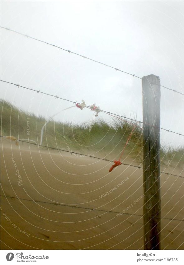 Katwijk aan Zee Ferien & Urlaub & Reisen Ausflug Ferne Sommer Strand Meer Urelemente Erde Sand Luft Himmel Gewitterwolken Wetter Unwetter Wind Gras Nordsee