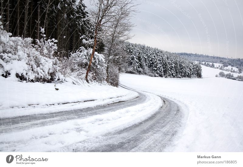 Glatte Strasse Winter Natur Landschaft Eis Frost Schnee Baum Wald Verkehrswege Straße bedrohlich grau weiß Farbfoto Außenaufnahme Menschenleer