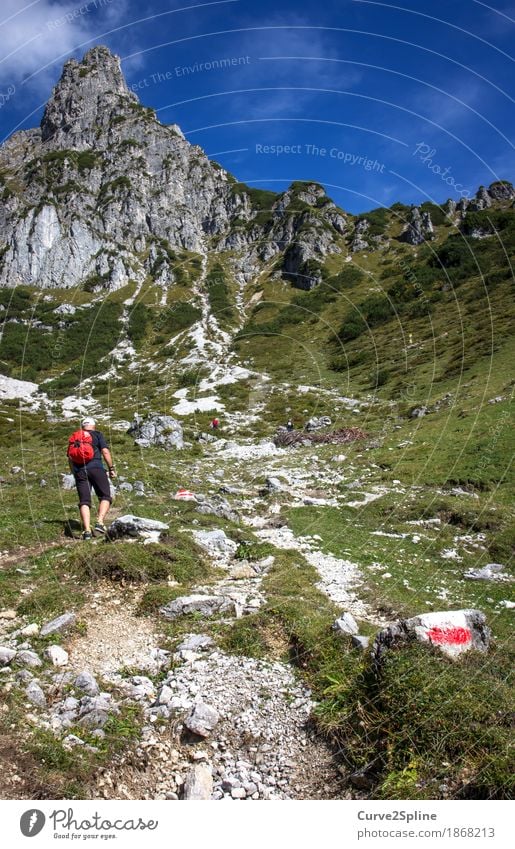 Zustieg Freizeit & Hobby Berge u. Gebirge wandern Sport Fitness Sport-Training Mensch maskulin Mann Erwachsene Natur Landschaft Urelemente Sommer Wiese Feld