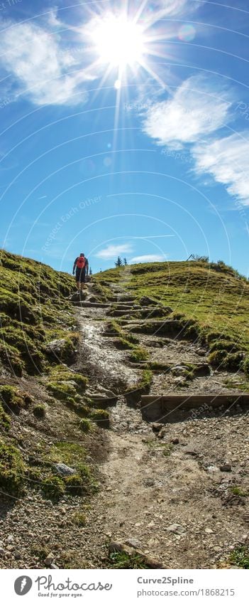 Zustieg Freizeit & Hobby wandern Mensch maskulin Natur Urelemente Wiese Feld Hügel Felsen Alpen Berge u. Gebirge Bewegung Bergsteigen Bergsteiger Wege & Pfade