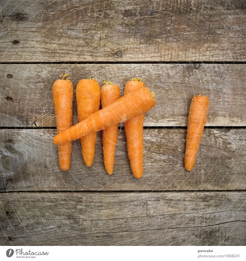 alles was zählt Lebensmittel Gemüse Ernährung Natur Holz Gesundheit Möhre 6 Ziffern & Zahlen zählen Holzbrett Holzwand Farbfoto Außenaufnahme Nahaufnahme