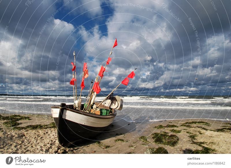 Faul am Strand liegen Insel ästhetisch Tag Kontrast Weitwinkel Ferien & Urlaub & Reisen Sommerurlaub Meer Wolken Schönes Wetter Wind Sturm Ostsee Schifffahrt