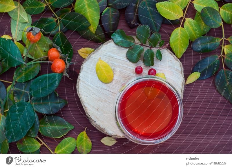 Früchtetee mit einem Viburnum Frucht Tee Baum Blatt heiß natürlich Holz gefallen trinken duftig Lebensmittel geschmackvoll Gesundheit Hintergrund Kräuterbuch