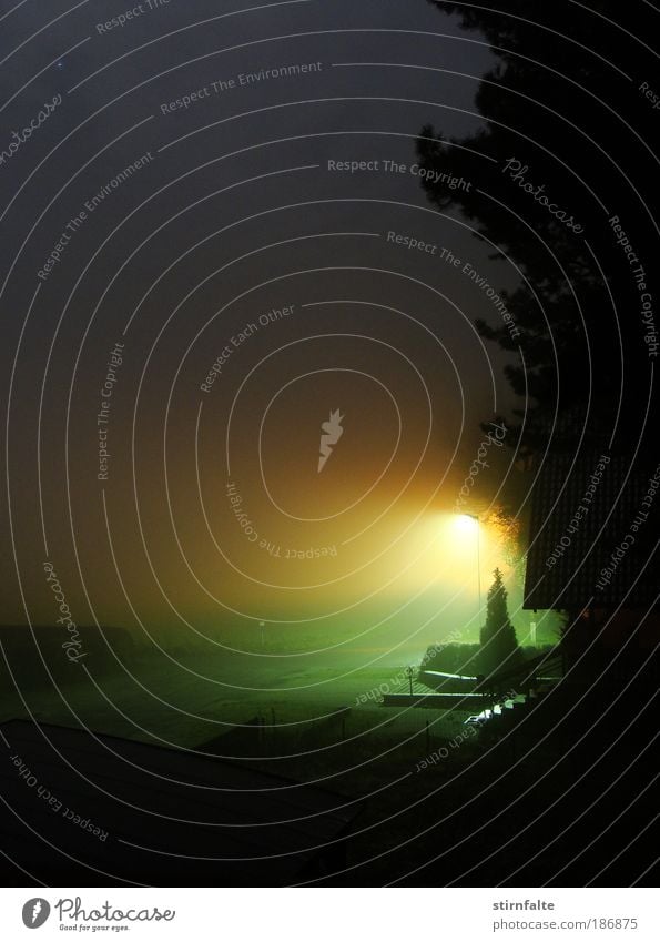fetter Nebel Natur Himmel Stern Herbst Baum Wiese Feld Dorf Menschenleer Haus Treppe Garten Wege & Pfade träumen gruselig Stimmung ruhig stagnierend Farbfoto