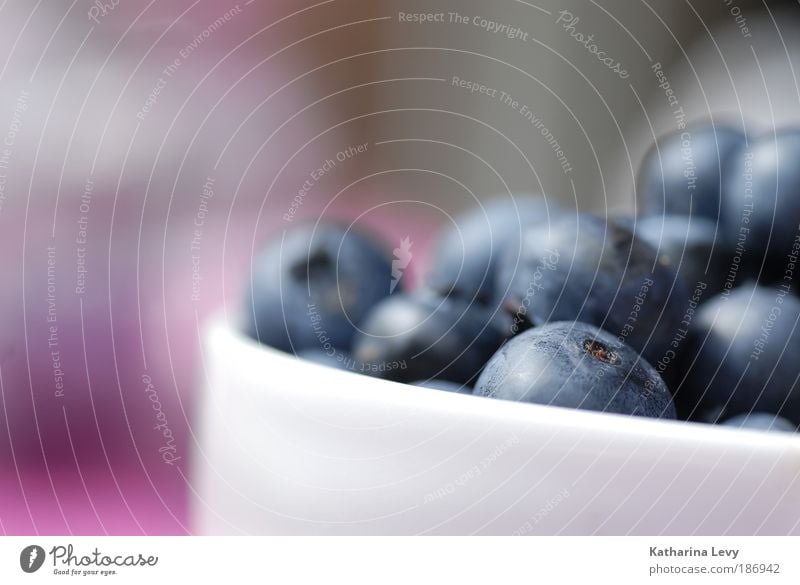 blaues wunder erleben Lebensmittel Frucht Dessert Blaubeeren Vitamin Ernährung Vegetarische Ernährung Schalen & Schüsseln Tasse Gesundheit klein lecker rund