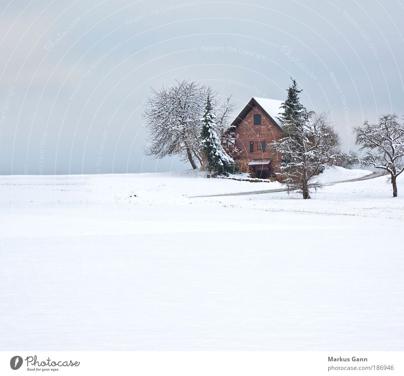 Zuflucht in weiss Erholung ruhig Ferien & Urlaub & Reisen Winter Schnee Winterurlaub Wohnung Haus Natur Landschaft Baum Feld Menschenleer Einfamilienhaus Hütte