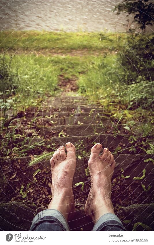 warum ist es am rhein so schön? Mensch androgyn Fuß Natur Landschaft Sommer Gras Park Wiese Fluss Erholung Schwimmen & Baden Rhein Treppe Jeanshose Ähren