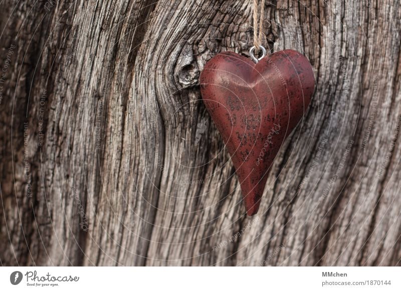 The Answer can only be Love Glück Muttertag Weihnachten & Advent Silvester u. Neujahr Hochzeit Geburtstag Taufe Natur Holz Herz hängen Liebe Unendlichkeit braun