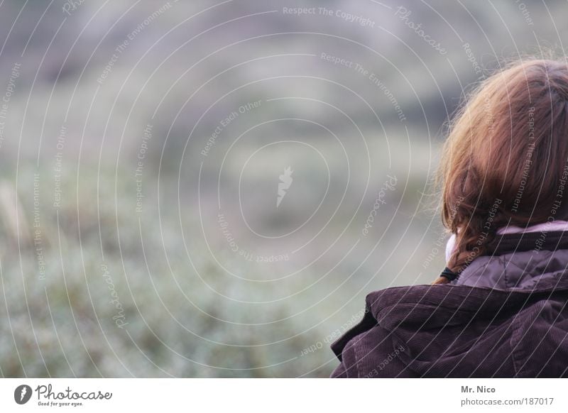 vorausgehen wandern Frau Erwachsene Kopf Haare & Frisuren Rücken Umwelt Natur Herbst Winter Klima Klimawandel Wetter Pflanze Sträucher Zopf Leben Kapuze Düne