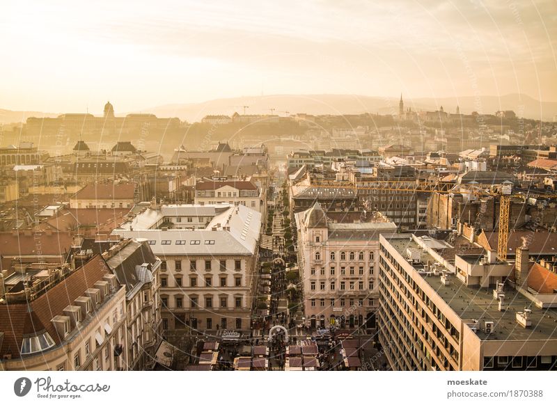 St Stephan Basilika Budapest Aussicht Stadt Hauptstadt Stadtzentrum Altstadt Fußgängerzone Skyline bevölkert Haus Kirche Dom gelb gold Ungarn Farbfoto