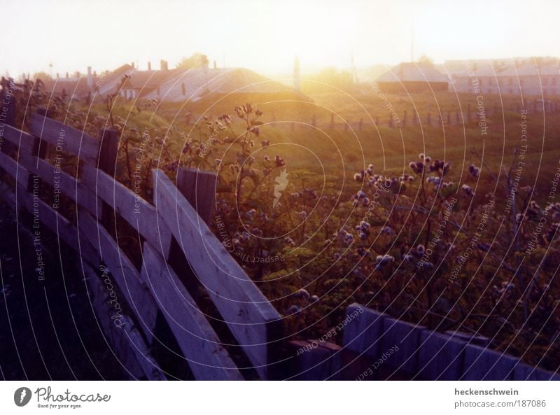 Solowki Natur Landschaft Sommer Gras Sträucher Wiese Feld Insel Solowezki-Inseln bescheiden Sehnsucht Heimweh ruhig Zaun Haus Horizont Weide Russland Farbfoto