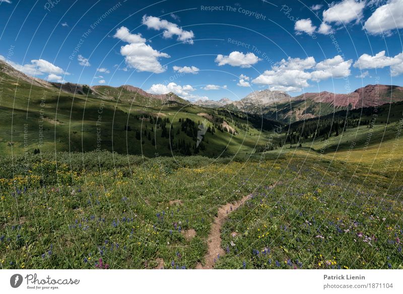 Weg ins Glück schön Ferien & Urlaub & Reisen Abenteuer Sommer Berge u. Gebirge wandern Umwelt Natur Landschaft Urelemente Erde Luft Himmel Wolken Baum Blume