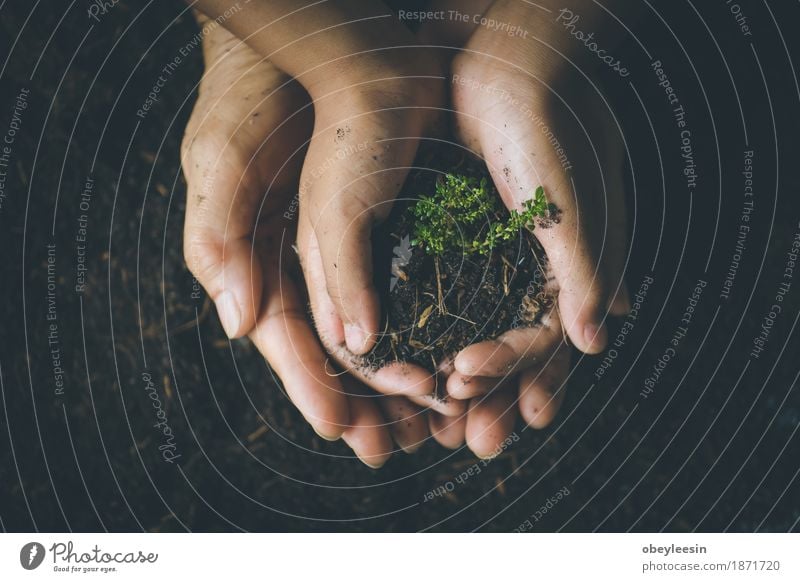 rette die Welt, selektiven Fokus Lifestyle Stil Natur Erde Garten Abenteuer Farbfoto mehrfarbig Nahaufnahme Detailaufnahme Makroaufnahme Morgen Tag