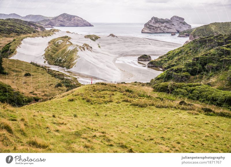 Blick auf den Strand von Wharariki schön Ferien & Urlaub & Reisen Tourismus Ausflug Meer Insel Kunst Natur Landschaft Sand Himmel Wolken Baum Gras Hügel Felsen