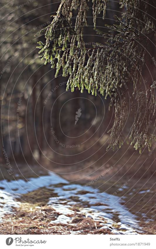 der lange Winter geht langsam zu Ende Winterende Schneereste Schneeschmelze Frühlingsgefühl März April Vorfrühling Frühlingsanfang Frühlingsbeginn