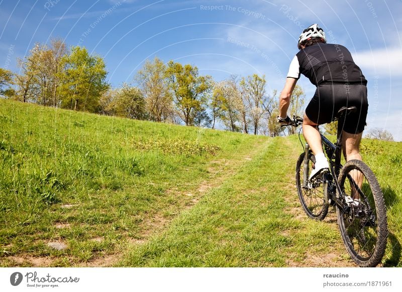 Mountainbikeradfahrer, der aufwärts entlang einer Landstraße reitet Erholung Sommer Sport Mann Erwachsene Landschaft Baum Gras Blatt Wiese Jacke Fitness grün