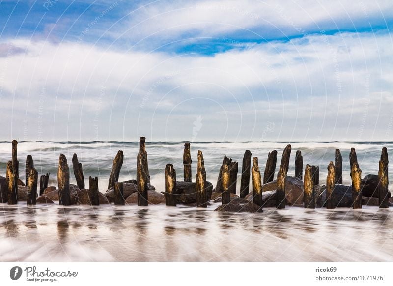 Buhnen an der Küste der Ostseeküste Erholung Ferien & Urlaub & Reisen Tourismus Strand Meer Wellen Natur Landschaft Wasser Wolken Sturm Stein Holz blau Romantik