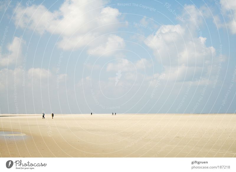 low water and high sky Ferien & Urlaub & Reisen Tourismus Ausflug Ferne Freiheit Sommer Sonne Strand Meer Insel Mensch Umwelt Natur Landschaft Sand Himmel