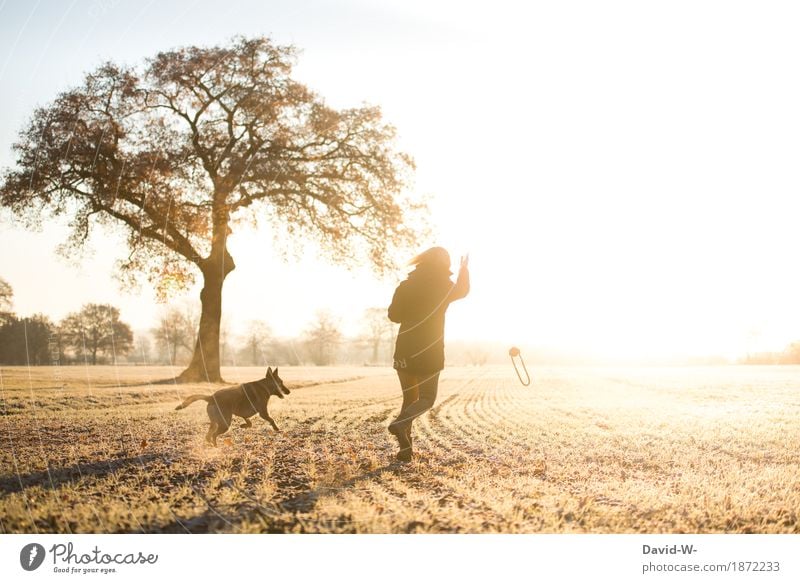 Bewegung Gesundheit Leben Zufriedenheit Spielen Mensch feminin Frau Erwachsene Jugendliche 1 Natur Landschaft Wolkenloser Himmel Sonne Sonnenaufgang