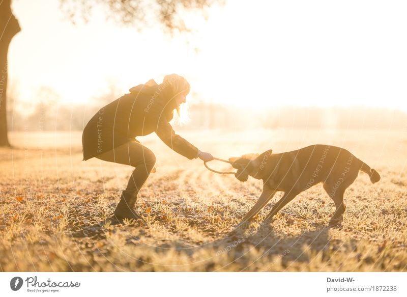 toben Mensch feminin Junge Frau Jugendliche Erwachsene Leben 1 Umwelt Natur Landschaft Sonne Sonnenaufgang Sonnenuntergang Sonnenlicht Herbst Winter