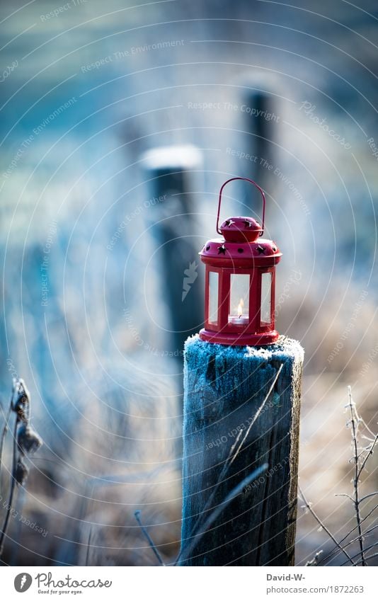 wärme ins kalte tragen Feste & Feiern Weihnachten & Advent Kunst Umwelt Natur Landschaft Herbst Winter Schönes Wetter schlechtes Wetter Unwetter Eis Frost