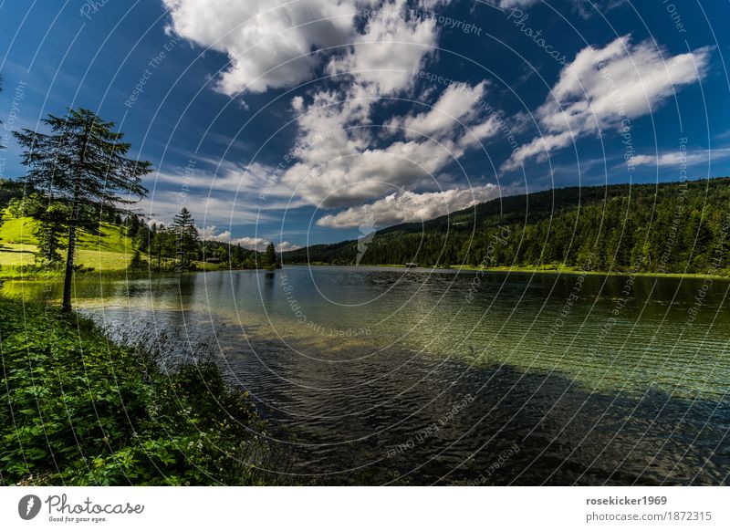 Ferchensee Schwimmen & Baden Ferien & Urlaub & Reisen Freiheit Sommerurlaub Berge u. Gebirge wandern Umwelt Natur Landschaft Pflanze Wasser Himmel Wolken