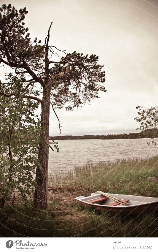 Schlechtes Wetter Ferien & Urlaub & Reisen Tourismus Ausflug Trauerfeier Beerdigung Natur Landschaft schlechtes Wetter Baum Seeufer Bootsfahrt Ruderboot