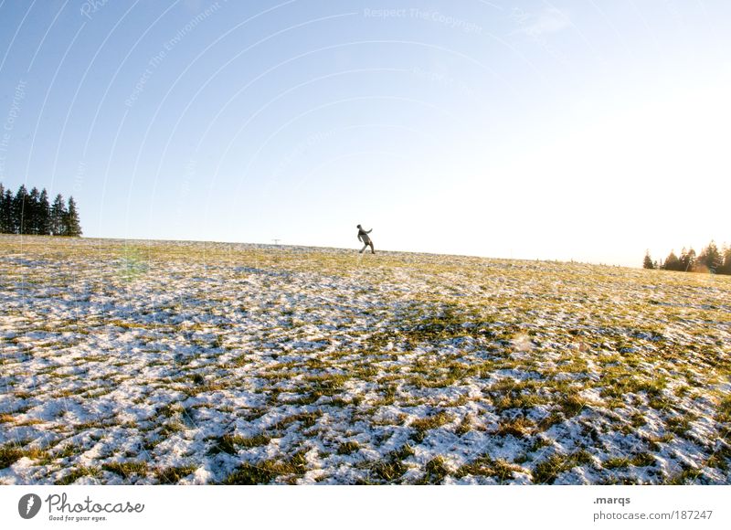 Auf weiter Flur Freude Freizeit & Hobby Tourismus Ausflug Winter Schnee Winterurlaub wandern 1 Mensch Landschaft Erde Himmel Baum Feld entdecken gehen Coolness