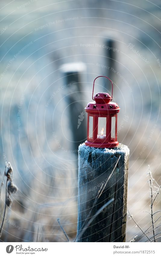 ein Teelicht leuchtet im Winter in der roten Laterne Kerze winterlich weihnachtlich frostig kalt leuchten