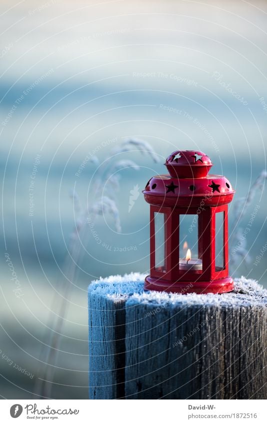 Die rote Laterne Kunst Umwelt Natur Landschaft Winter Schönes Wetter Schnee Schneefall Park Wiese Wald leuchten schön Romantik brennen Weihnachten & Advent