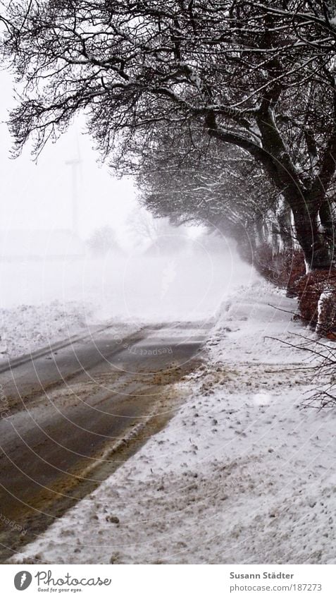 Vestergade Winter Eis Frost Schnee Wald Weisheit Schneewehe Straße Dreck Dänemark kalt Spaziergang schlechte Sicht Winterurlaub Außenaufnahme Textfreiraum links