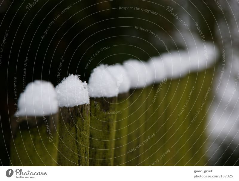 schnee Umwelt Natur Landschaft Herbst Winter Schnee Garten alt grün weiß Zaun Zaunpfahl Schneelandschaft schneezaun Schneekuppe Baum Farbfoto mehrfarbig