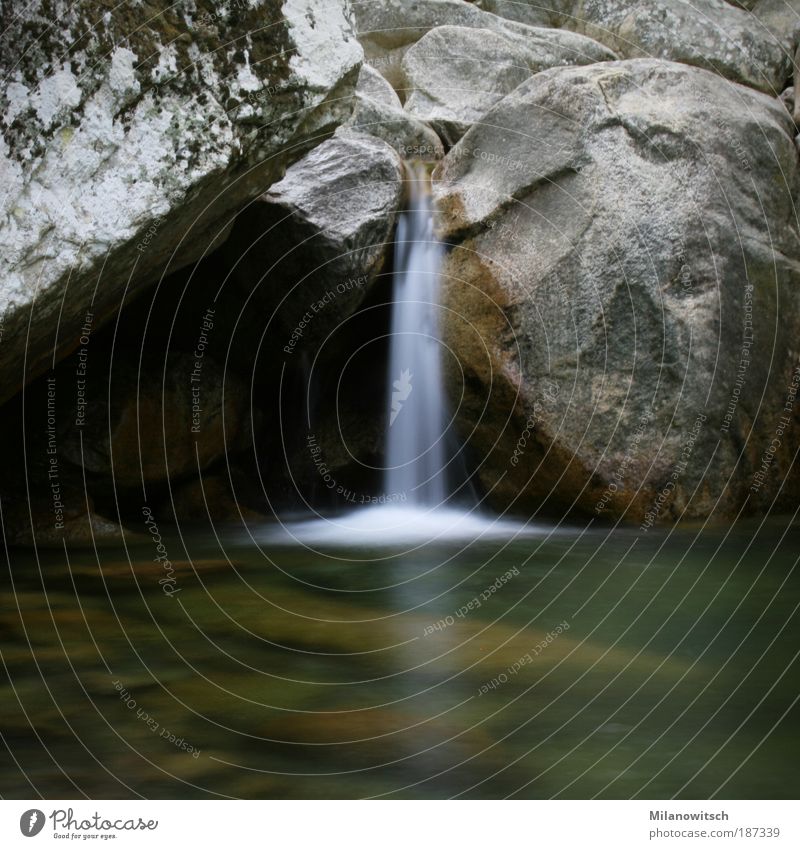 Wasserfall Natur Bach Erholung ästhetisch natürlich grün Gelassenheit ruhig Umwelt Geplätscher fließen Farbfoto Gedeckte Farben Außenaufnahme Tag