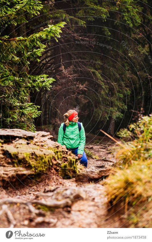 pause Berge u. Gebirge wandern Sport Frau Erwachsene Natur Landschaft Herbst Schönes Wetter Baum Sträucher Wald Felsen Alpen stehen Coolness trendy ruhig