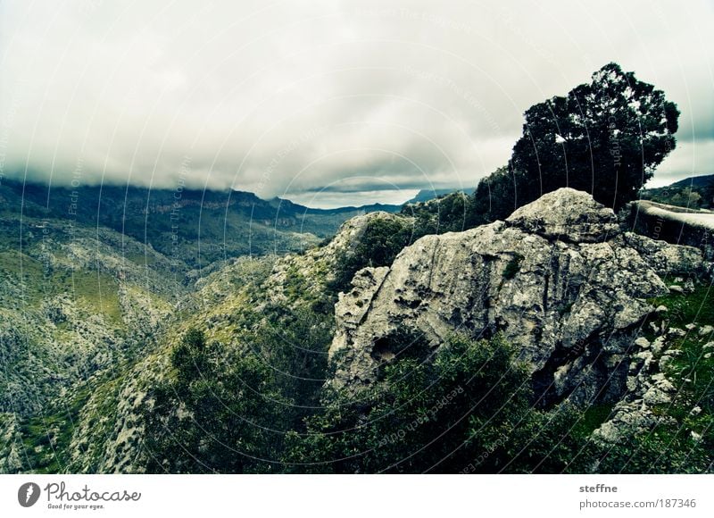 mallorquinisches Hinterland Landschaft Pflanze Wolken Gewitterwolken Wetter schlechtes Wetter Wind Baum Felsen Berge u. Gebirge Mallorca natürlich blau grün Tal