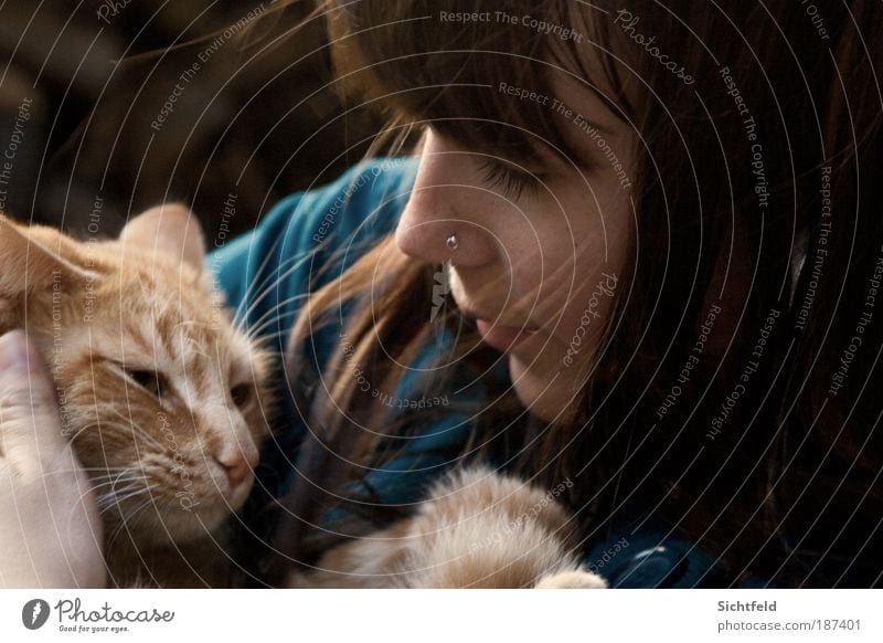 Herbstkatzen Haare & Frisuren Haut Gesicht Freizeit & Hobby Mensch feminin Junge Frau Jugendliche Erwachsene Freundschaft Partner Leben 1 18-30 Jahre