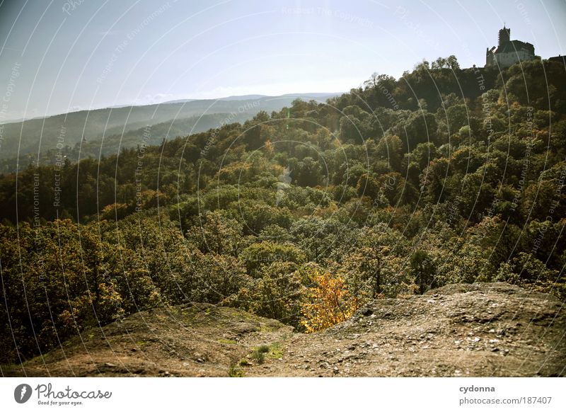 Luftlinie Leben Wohlgefühl Erholung ruhig Tourismus Ferne Freiheit Sightseeing Umwelt Natur Landschaft Wolkenloser Himmel Baum Wald Felsen Bildung einzigartig