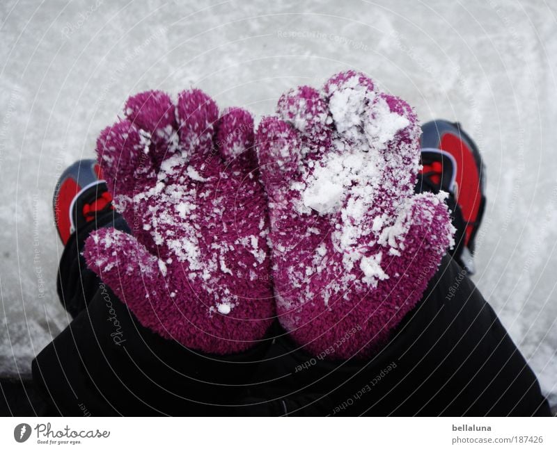 Guck mal! Schnee! Mensch Kind Mädchen Arme Hand Finger Beine Fuß 1 3-8 Jahre Kindheit Bewegung Freude Glück Fröhlichkeit Zufriedenheit Begeisterung Tapferkeit