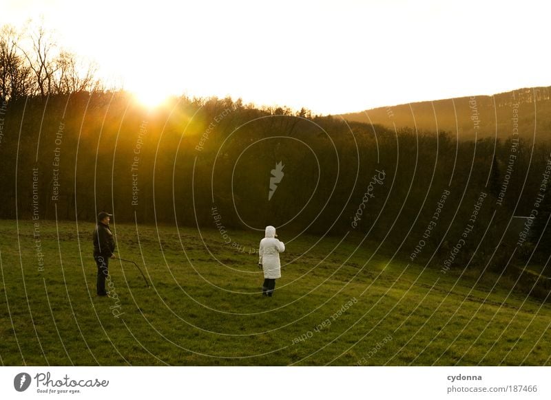 Abschied harmonisch Erholung ruhig Ausflug wandern Umwelt Natur Landschaft Sonnenaufgang Sonnenuntergang Wiese Wald Bewegung Freiheit Horizont Idylle Leben