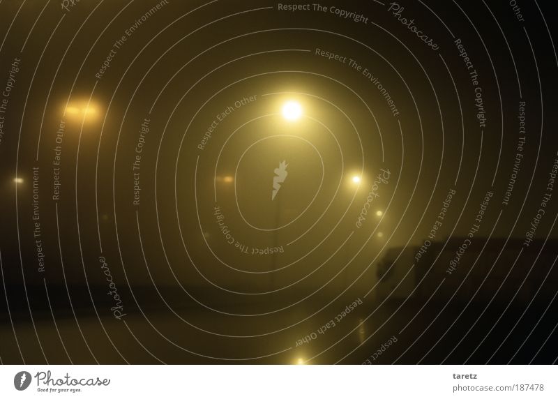 Nachtfahrt mit eingeschränkter Sichtweite schlechtes Wetter Belgien bedrohlich Autobahn Lastwagen Laterne Nebel Einschränkung sichtbar grün gelb dunkel