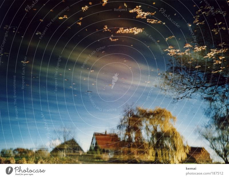 Das Haus im See Natur Landschaft Wasser Himmel Sommer Schönes Wetter Pflanze Baum Seeufer Teich nass natürlich schön Reflexion & Spiegelung Bauernhof Bauernhaus