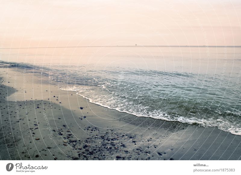 Ostseestrand bei Nienhagen Küste Strand Meer Natur Landschaft Urelemente Wasser Sandstrand Pastellton sanft Ferien & Urlaub & Reisen Erholungsgebiet harmonisch