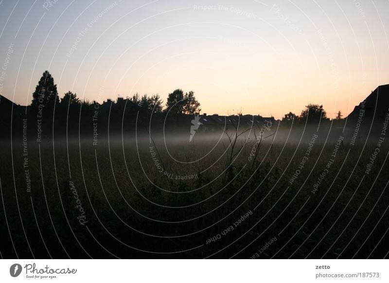 Nebelschwaden Natur Landschaft Herbst Pflanze Sträucher Wiese Feld natürlich Zufriedenheit geheimnisvoll Stimmung Nebelschleier Morgennebel Morgendämmerung