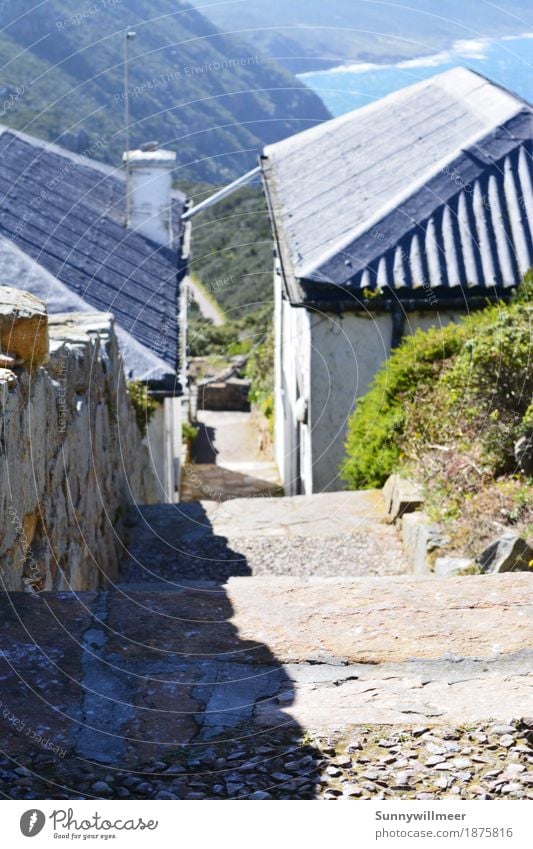 Kap der Guten Hoffnung Küste Haus Mauer Wand Treppe Dach Sehenswürdigkeit Sauberkeit Wärme Freude ruhig Ferien & Urlaub & Reisen Erde Südafrika Farbfoto