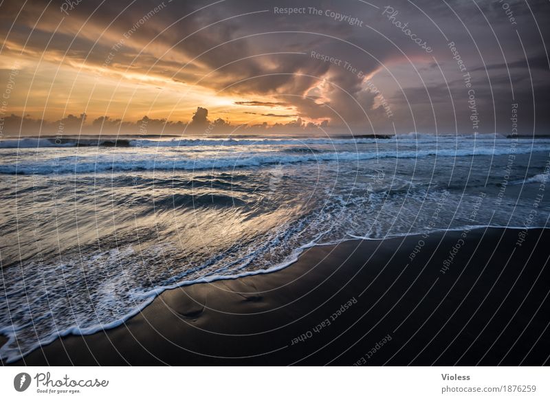 End of Day Abenteuer Ferne Freiheit Expedition Sommer Sonne Strand Meer Wellen Umwelt Natur Sand Wasser Himmel Wolken Sonnenlicht Küste entdecken Erholung