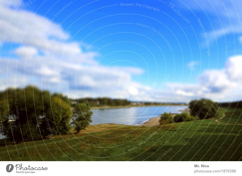 Rhein land Umwelt Natur Landschaft Wolken Klima Schönes Wetter Baum Wiese Flussufer Strand Binnenschifffahrt Idylle Nordrhein-Westfalen Wasser Erholungsgebiet