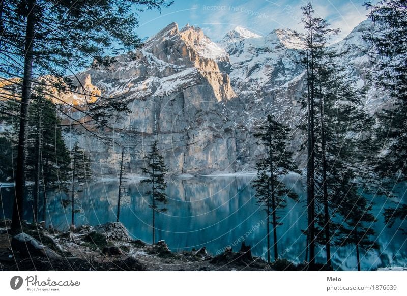 Oeschinensee Tourismus Ausflug Freiheit Expedition Winter Schnee Winterurlaub Berge u. Gebirge wandern Klettern Bergsteigen Natur Landschaft Erde Luft Wasser