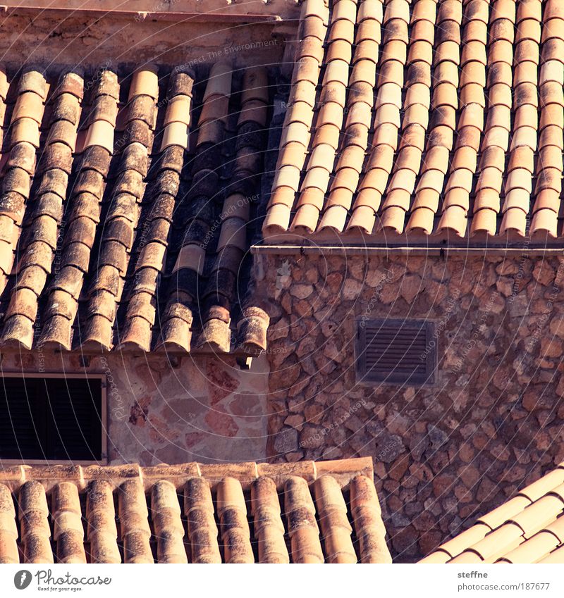 Wohnpark Mallorca Haus Einfamilienhaus Fassade Dach Stein Ferien & Urlaub & Reisen Farbfoto Außenaufnahme Muster Strukturen & Formen Tag Licht Schatten